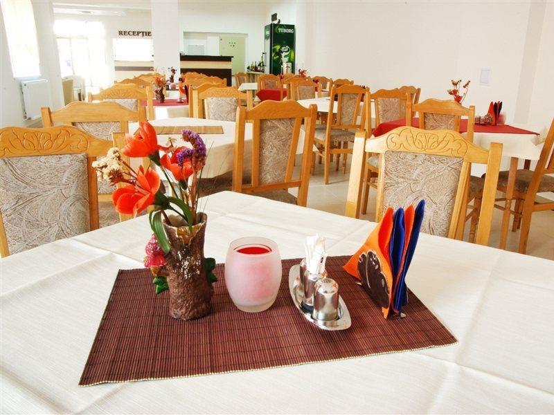 Hotel Alexis Cluj-Napoca Extérieur photo